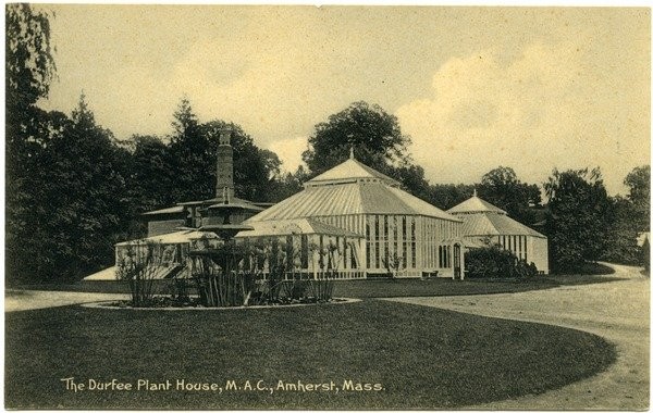 The Durfee Plant House, M.A.C., Amherst, Mass., postcard, ca. 1915
View of Durfee Conservatory, fountain. 