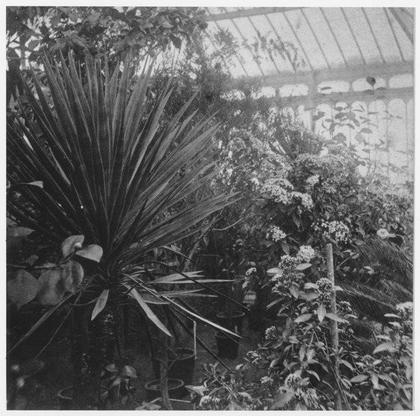 Durfee Plant House, undated.
