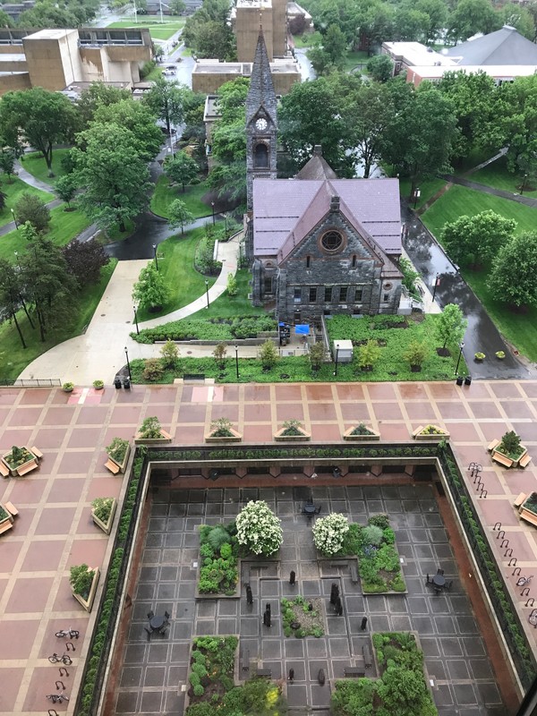 Oswald Tippo Garden, view from the library, 2017.