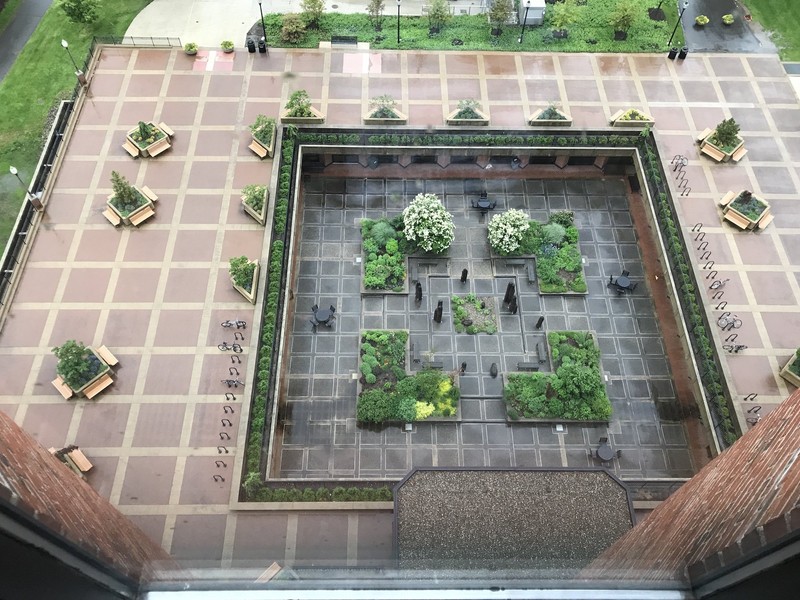 Oswald Tippo Garden, view from the library, 2017.