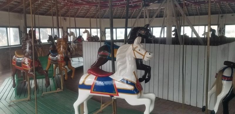 Horse, Carousel, Leisure, Recreation