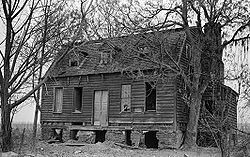 Building, Window, Plant, House