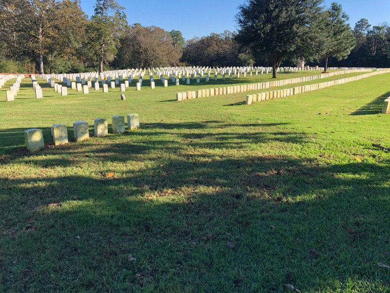 Nature, Grass, Land lot, Headstone