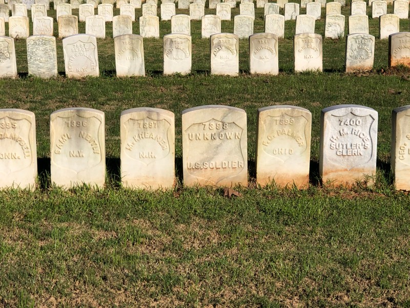 Nature, Grass, Text, Headstone