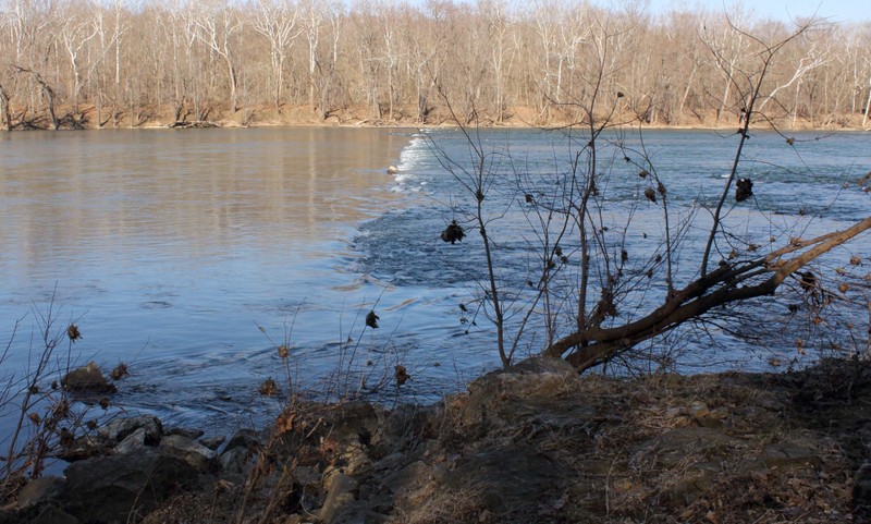 Natural landscape, Bank, Wetland, Floodplain