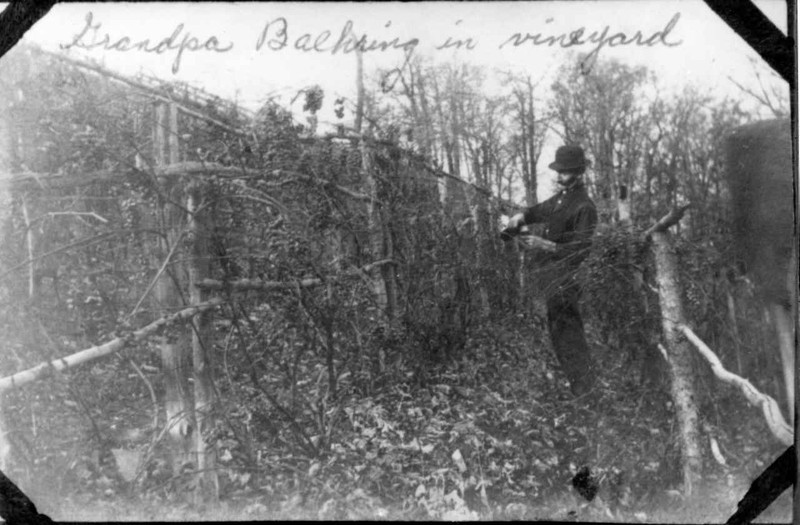 Tree, Soldier, Monochrome, Monochrome photography