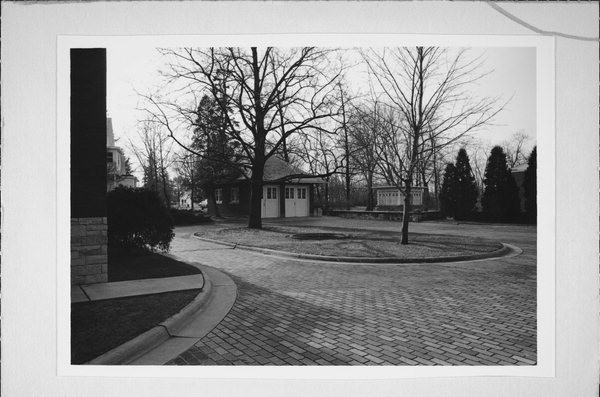 Tree, Plant, Black-and-white, Style