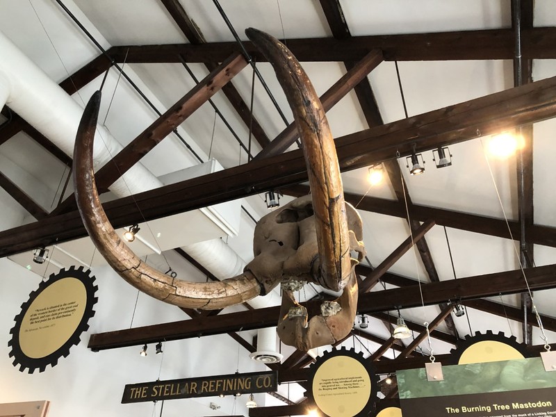 The Burning Tree Mastodon looks on as guests enter the museum floor.