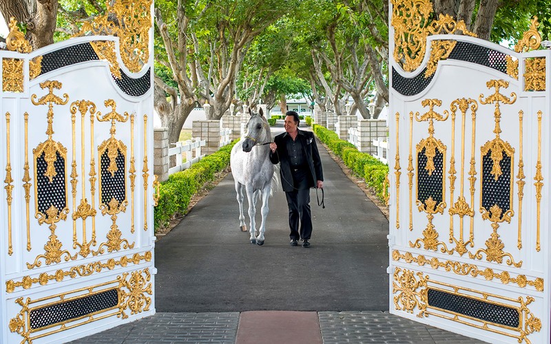 Wayne Newton with one of his Arabian horses