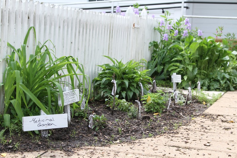 Herbs for flavoring food are planted outside the garden fence. These plants are used fresh or dried by hanging up in the Summer Kitchen.