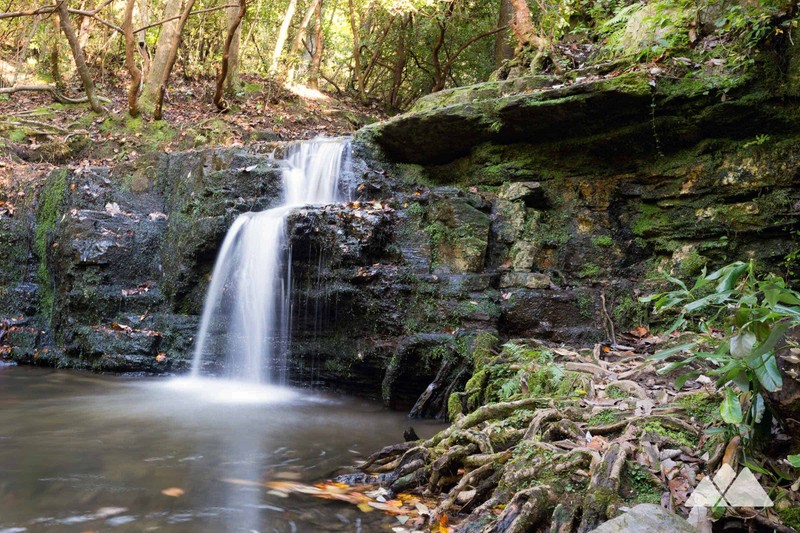 Water, Plant, Fluvial landforms of streams, Spring