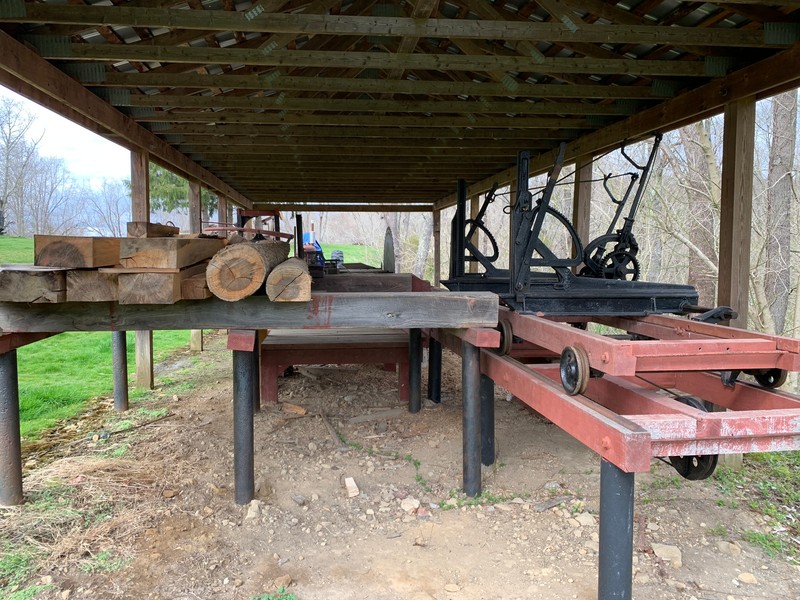 Wood, Plant, Table, Lumber