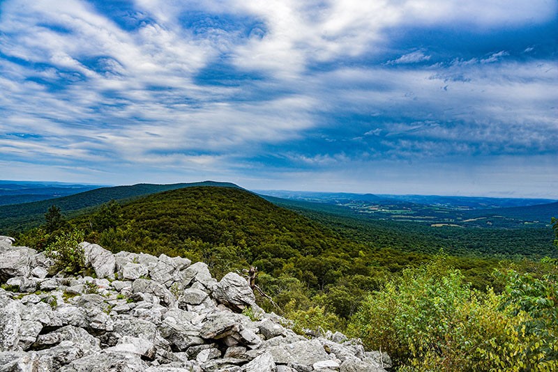 Hawk Mountain Sanctuary has plenty of overlooks to see the beautiful landscape as well as several birds of prey