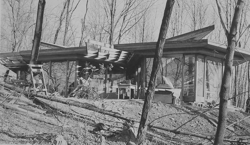 Wood, Tree, Plant, Building