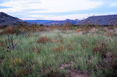 Rourke Ranch is nestled in the Comanche National Grassland