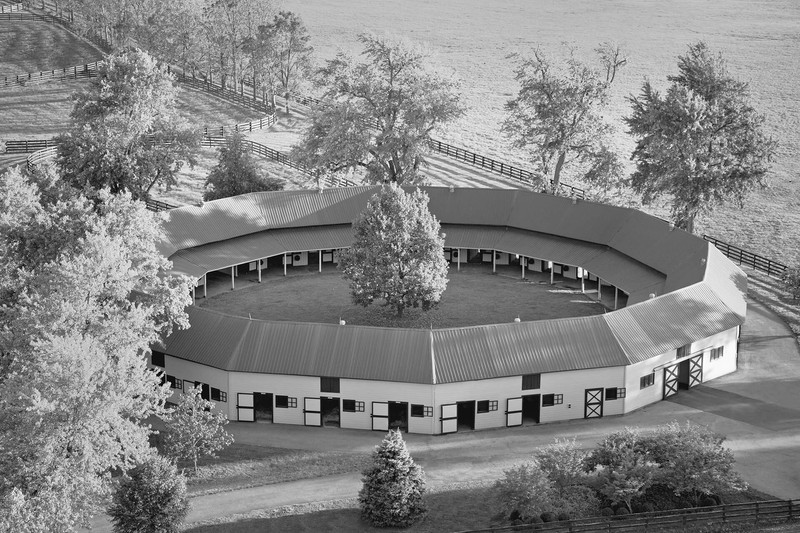 The iconic circular stable that houses several champion sires and broodmares.