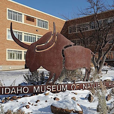 The Museum is located on the campus of Idaho State University, east of the intersection of 5th Avenue and Dillon Streets in ISU Building 12.