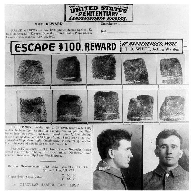 Head, Hairstyle, Photograph, Organ