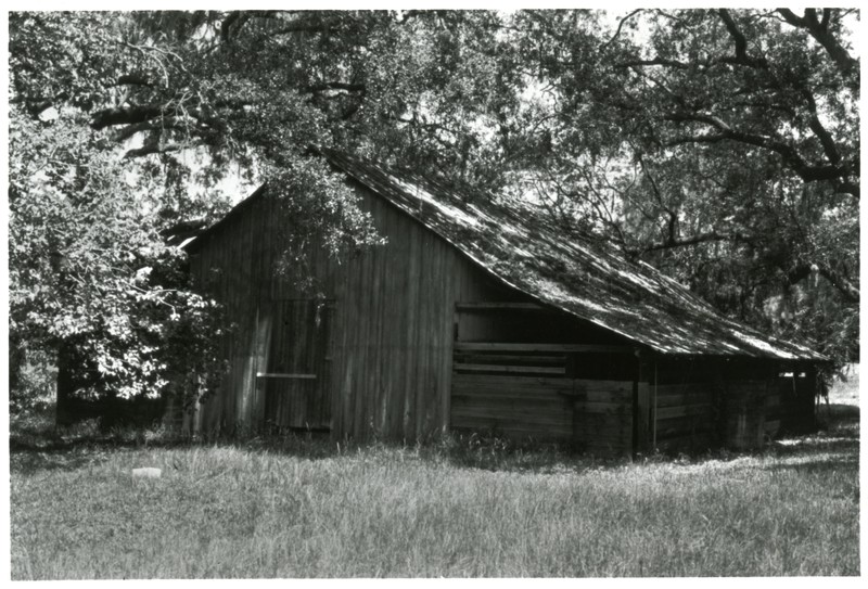 Lowe Barn before the move to Heritage Village, Largo, Florida, circa 1970. 