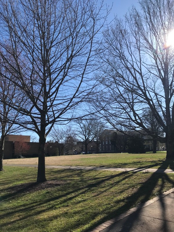 Quad next to Baldwin Hall site