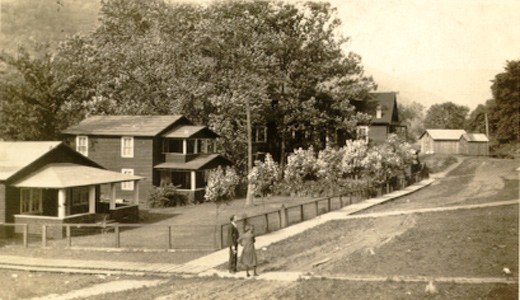 Building, Plant, Tree, House