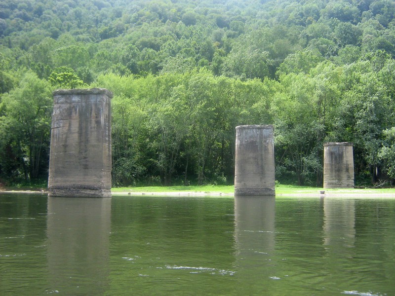 Water, Natural environment, Natural landscape, Tree