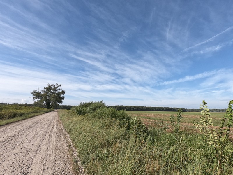 Cloud, Sky, Plant, Ecoregion