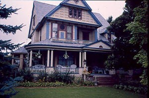 Plant, Window, Building, House