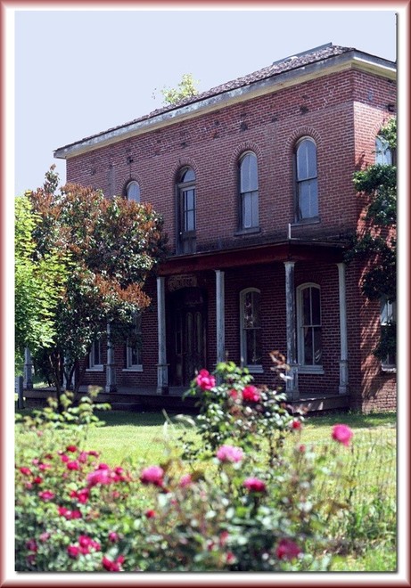 Flower, Plant, Building, Window