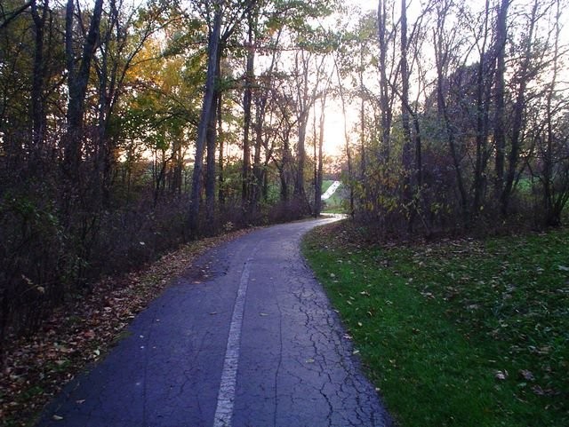 Another one of the trails offered at Central Park. Credit: BCA