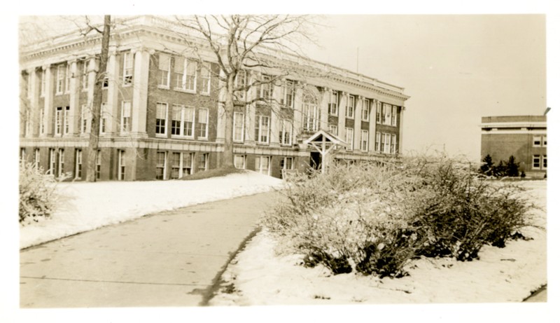 Plant, Building, Window, Architecture