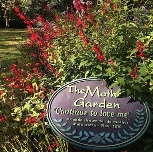 The Moth Garden, part of the gardens at Liberty Hall. Credit: TripAdvisor