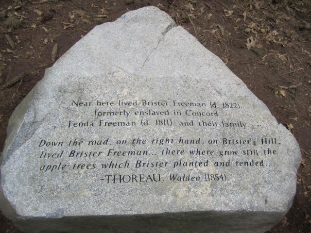 This marker includes a quote from Thoreau's Walden which gave the location of Freeman's home. 