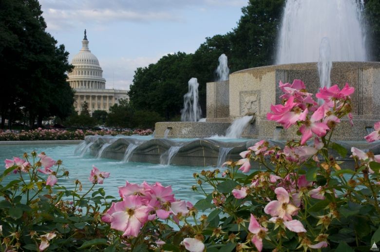 The fountain is the central attraction of Senate Park which is located between the U.S. Capitol and Union Station.