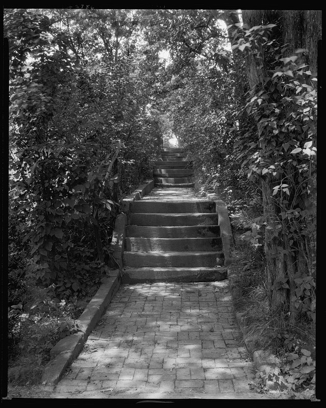 Stairs, 1927, by Frances Benjamin Johnston