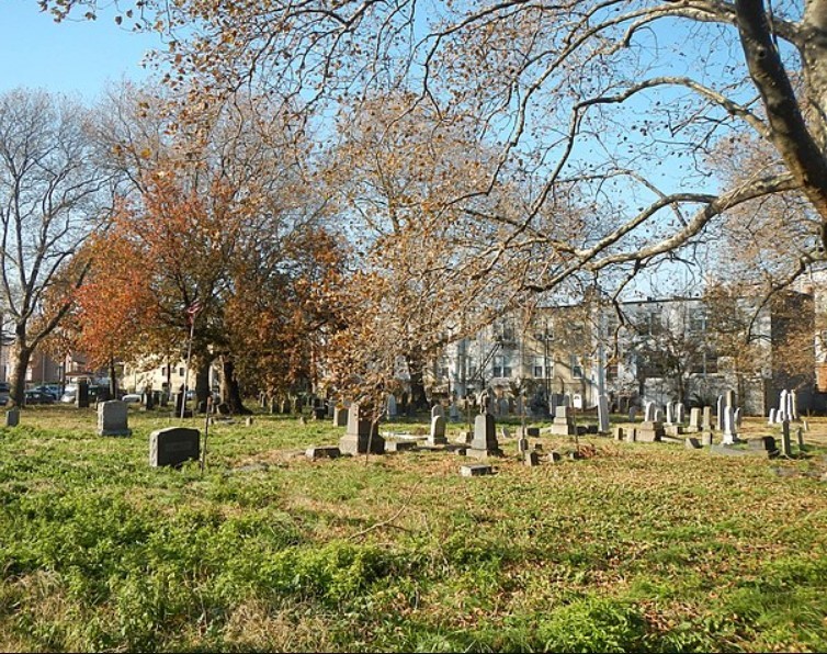 Plant, Sky, Natural landscape, Cemetery