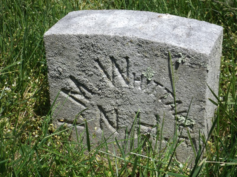 Plant, Leaf, Vegetation, Cemetery