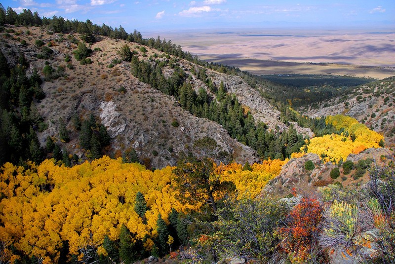 Aspen forests add to the biodiversity of the park.