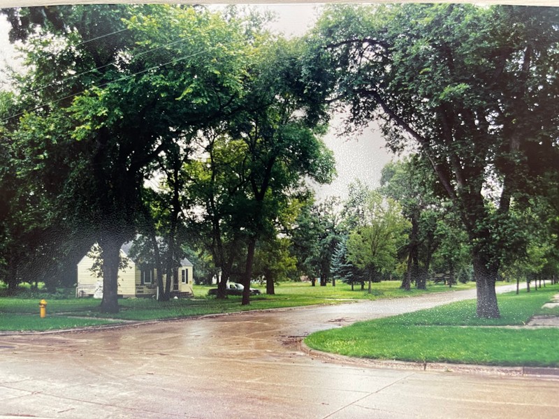 Flood waters fill street surrounded by house, lawn, and trees.