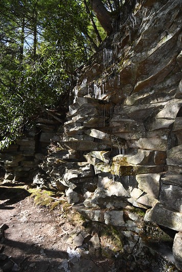 Natural landscape, Bedrock, Wood, Trunk