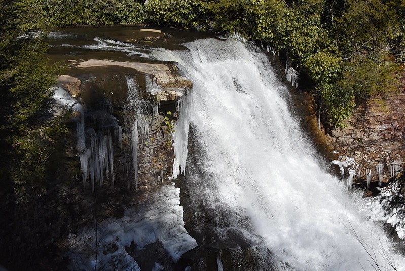 Water, Water resources, Plant, Natural landscape