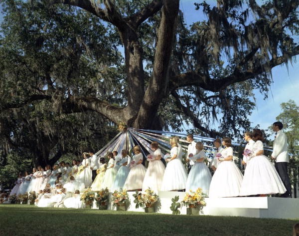 Scene from the 1967 Tallahassee May Party under the historic May Oak in Lewis Park.
<https://www.floridamemory.com/items/show/46780>