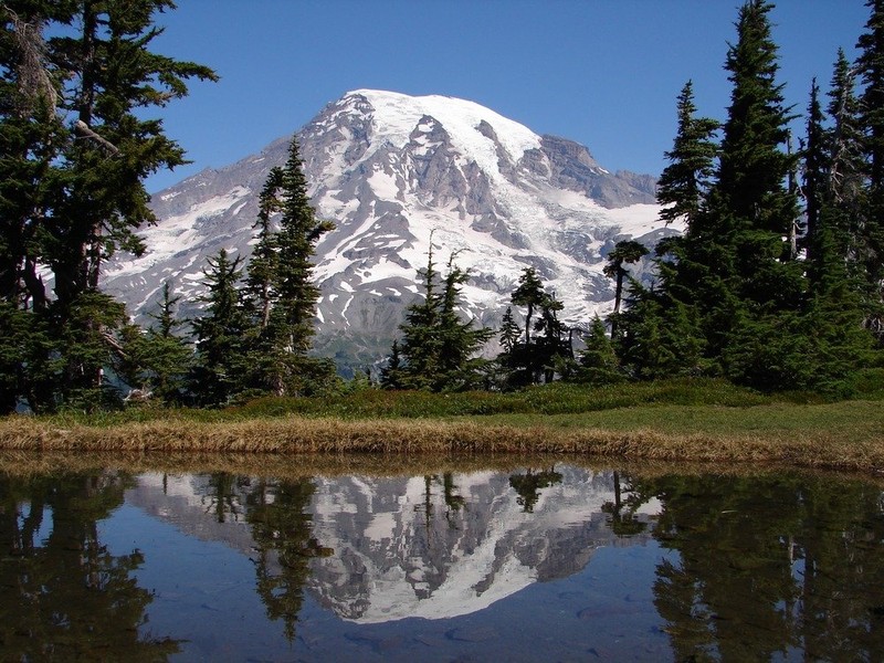 Mount Rainer is 14,000 feet tall and is named after British Rear Admiral Peter Rainer. 