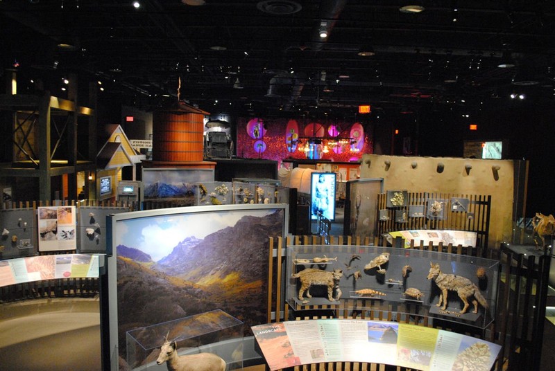 The museum's exhibits feature interpretive panels, mounted animals, fossils, and other items on display.