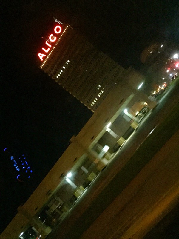 Picture of the ALICO Building captured at night