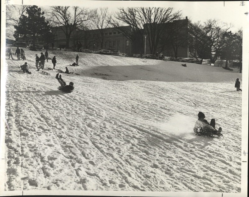 Tree, Slope, Snow, Recreation