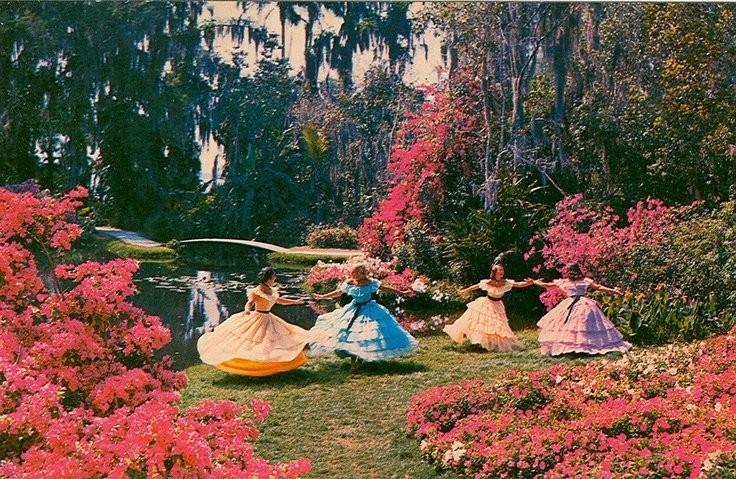 Southern Belles in the Gardens 