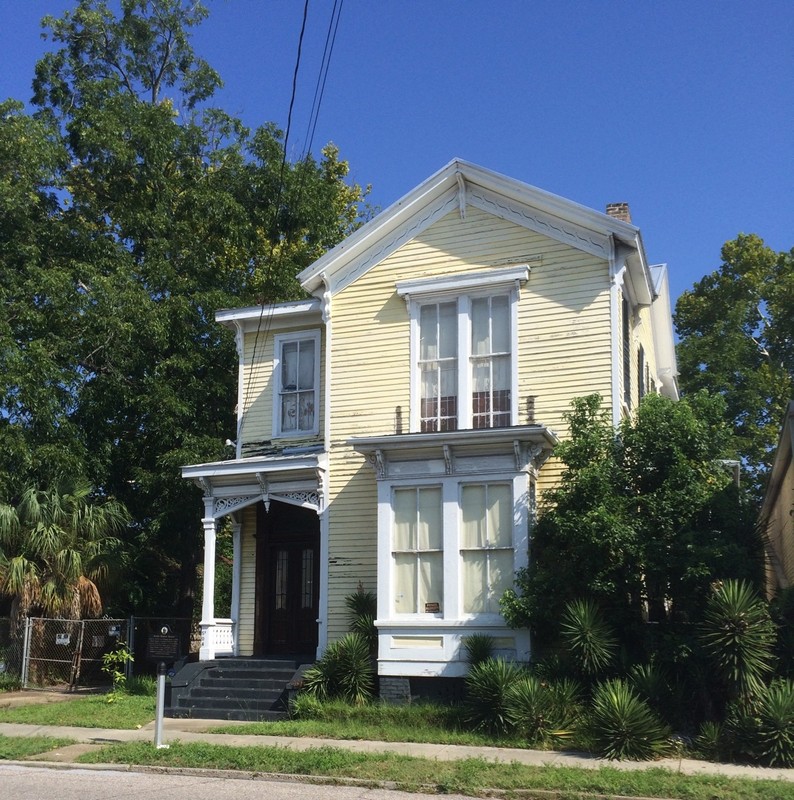 Plant, Residential area, Architecture, House