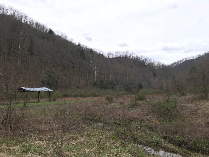 Cape Coalwood from access road. (2018)