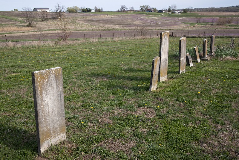 Vertebrate, Wood, Land lot, Mammal